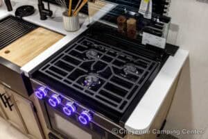 2026 Forest River Cherokee Grey Wolf Black Label 20RDSEBL Couples Travel Trailer Interior Image