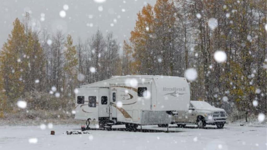 Alpha Wolf Camper In The Winter Time